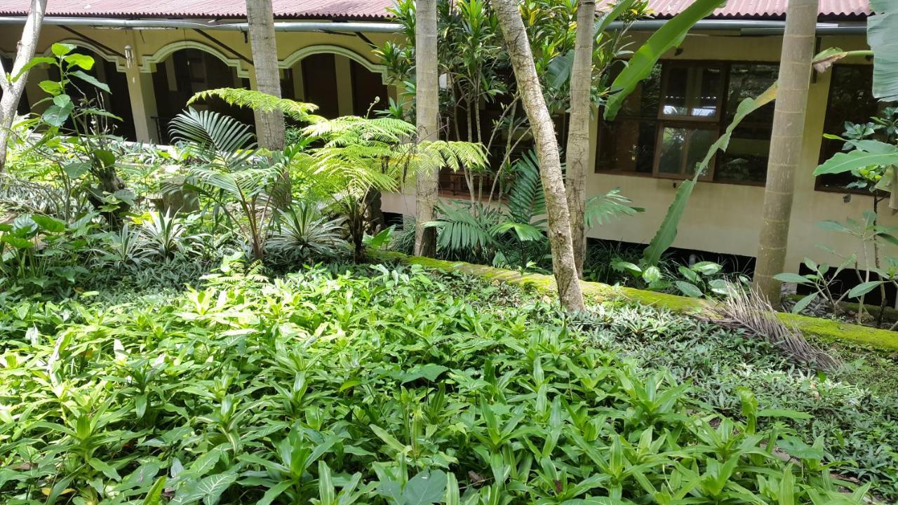 Centro Bajo Hotel & Resto Лабуан-Баджо Номер фото